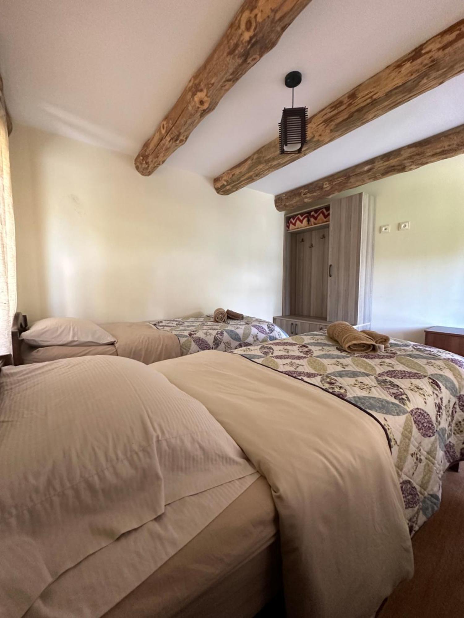 Guesthouse Lasharai Omalo Ngoại thất bức ảnh